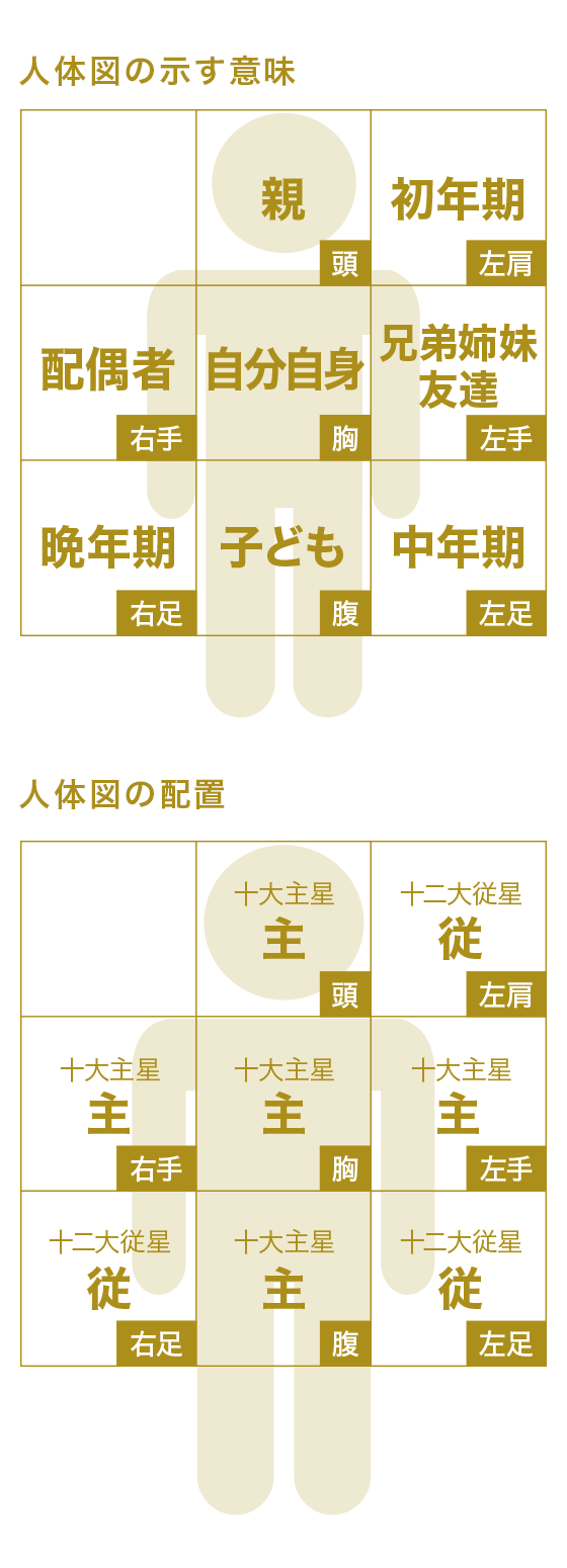 人体図の示す意味と人体図の配置